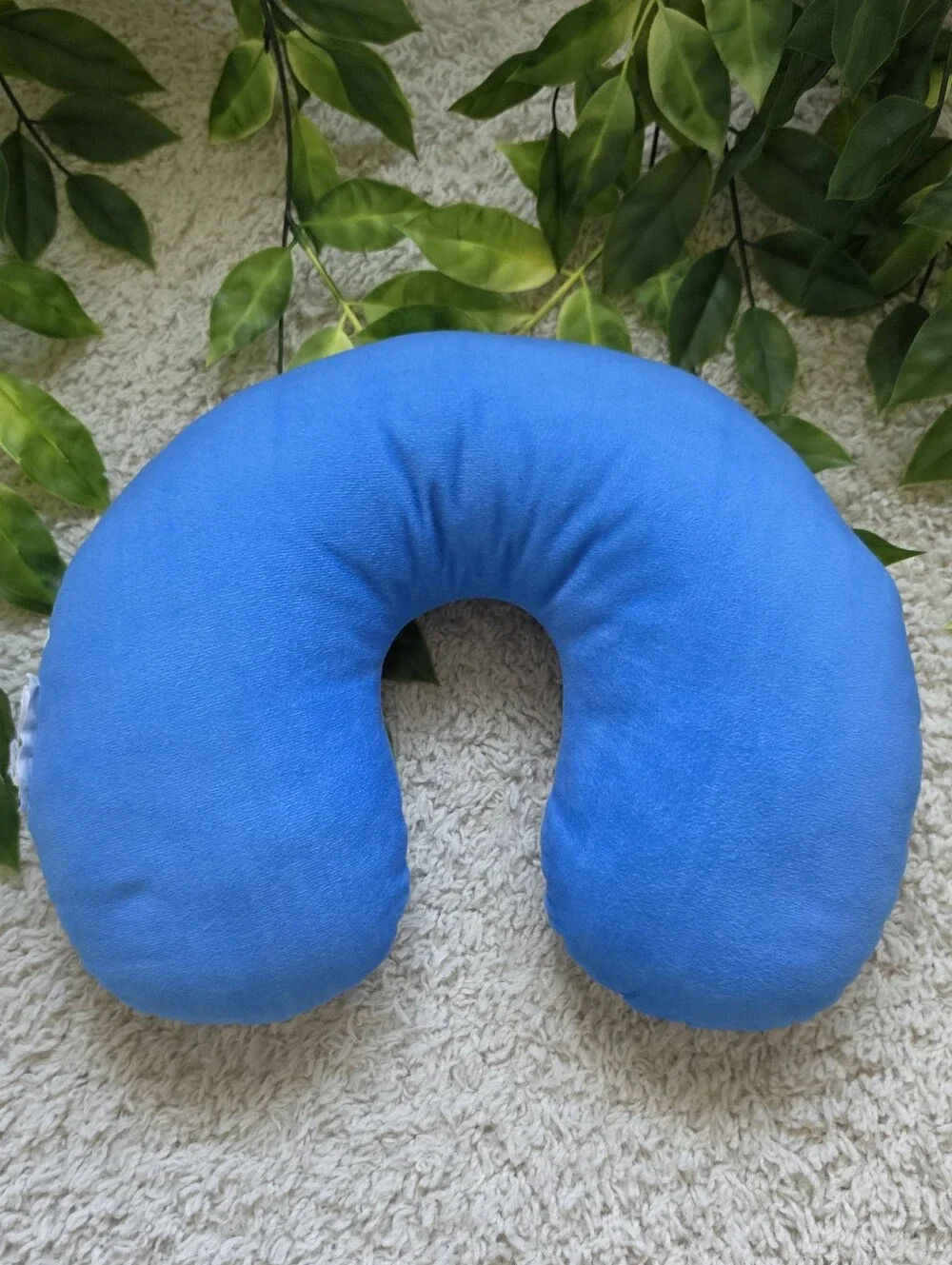 Bluey bnwot tag
